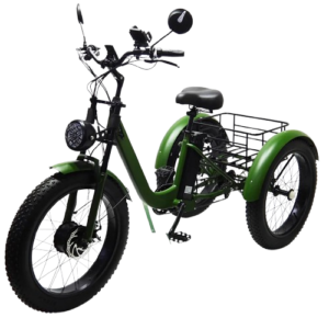 48V Cargo Electric Tricycle – 24" Fat Tire, Removable Battery, Mountain & Family E-Bike